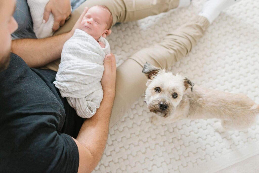 Introducing Your Baby to Your Dog