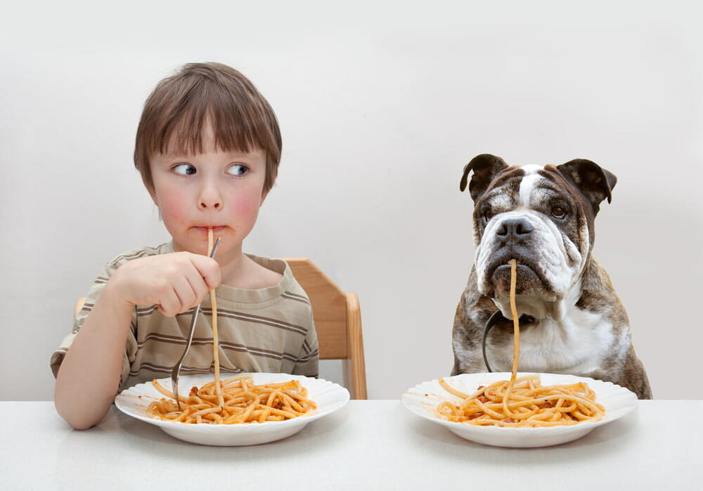 Human and dog eating together