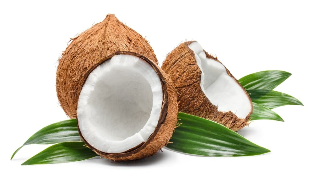 Coconut