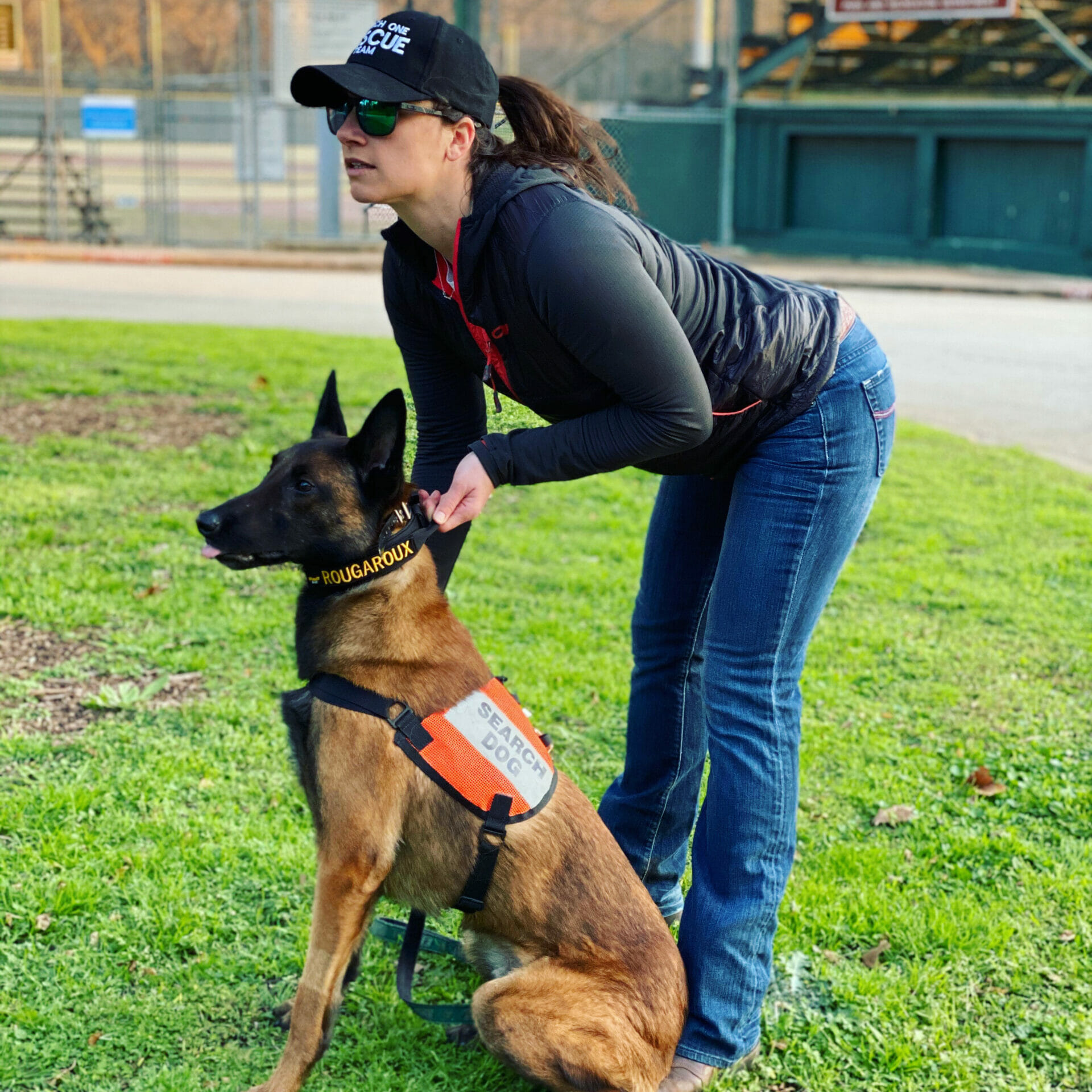 What Do Search and Rescue Dogs Actually Do? | Spot and Tango