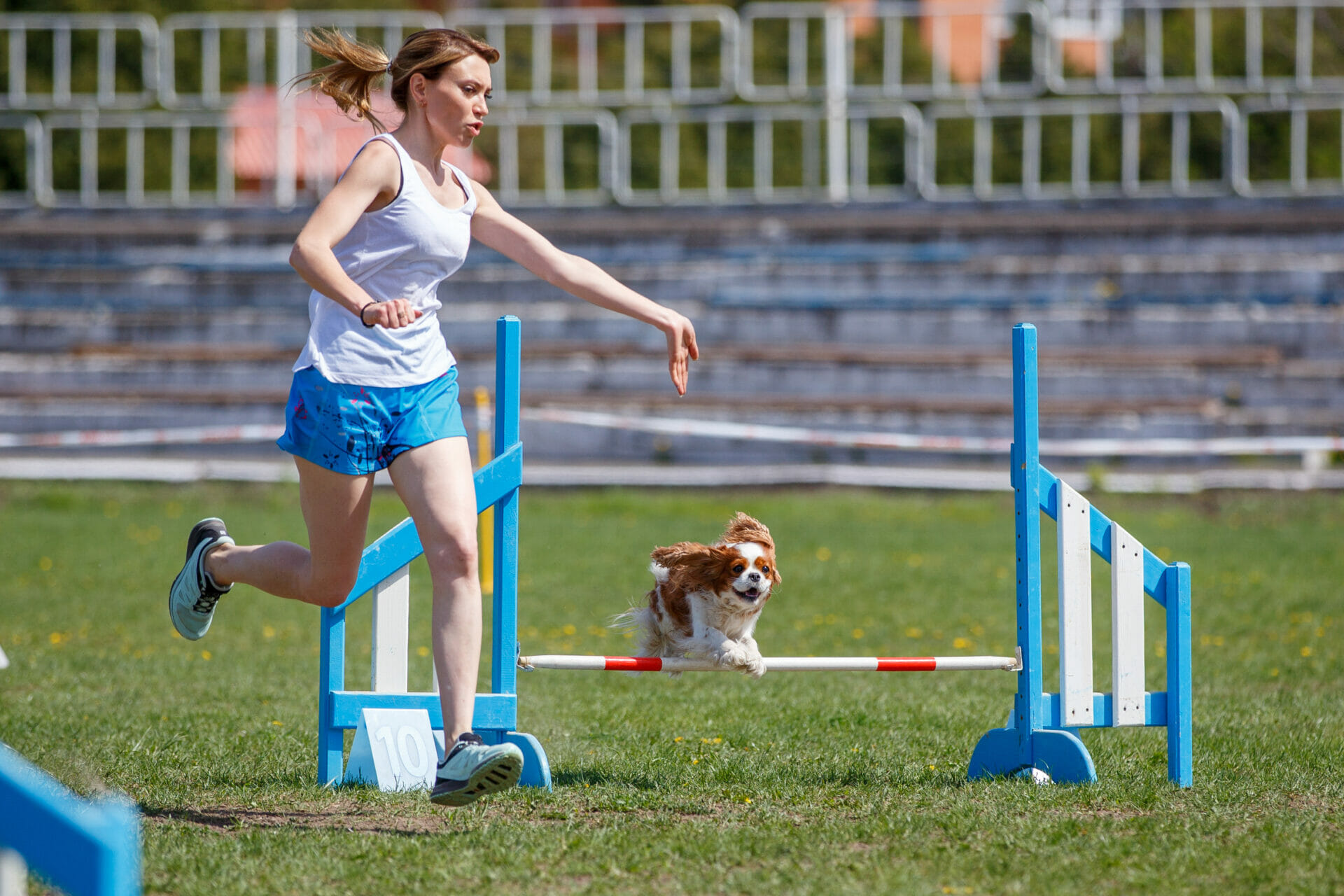 The Importance Of Adult Training! | Spot and Tango