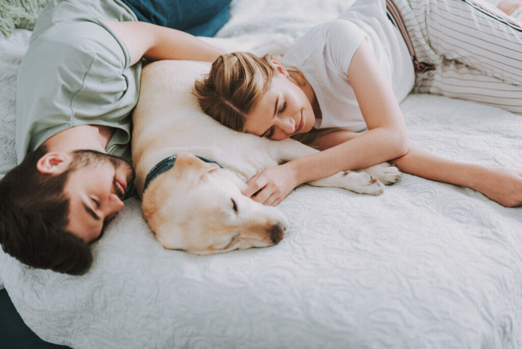 7 Date Ideas With Your Dog