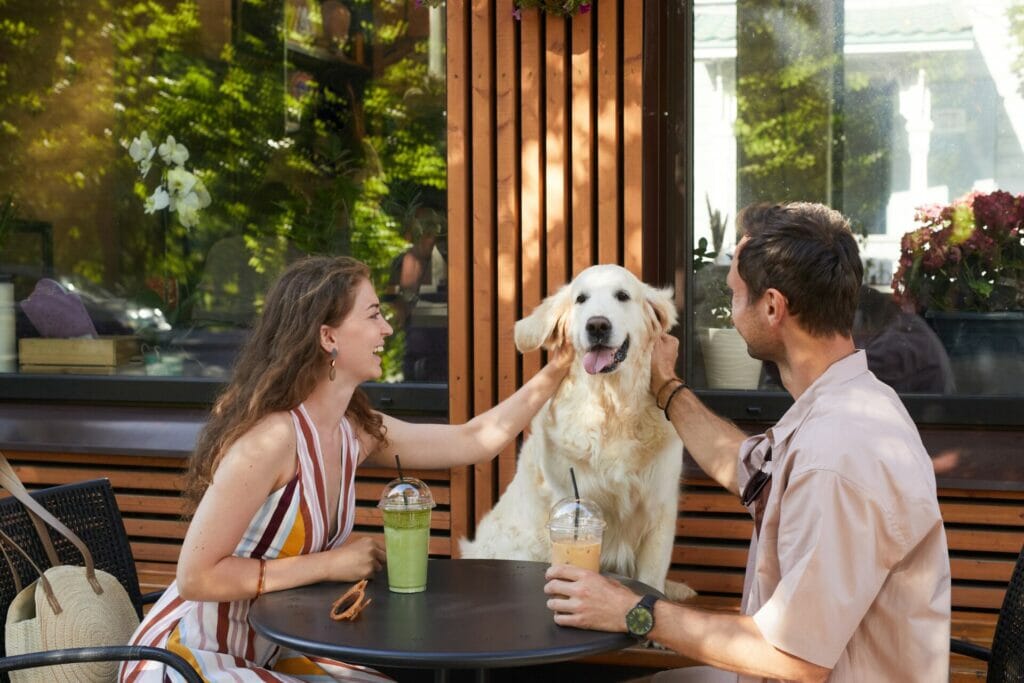 7 Date Ideas With Your Dog