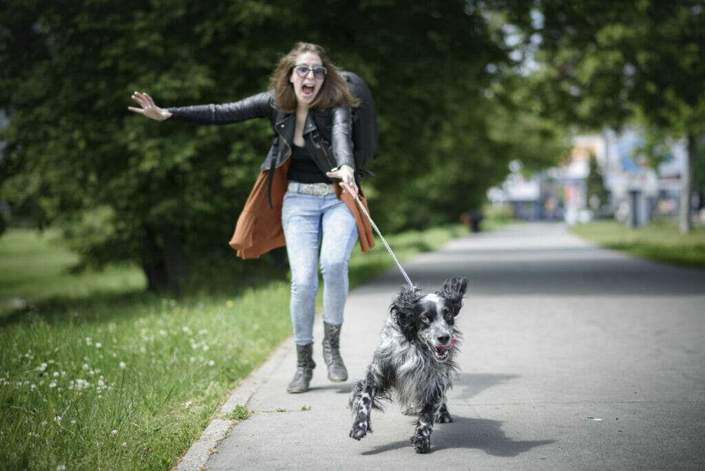 How to stop dog from tugging on leash best sale