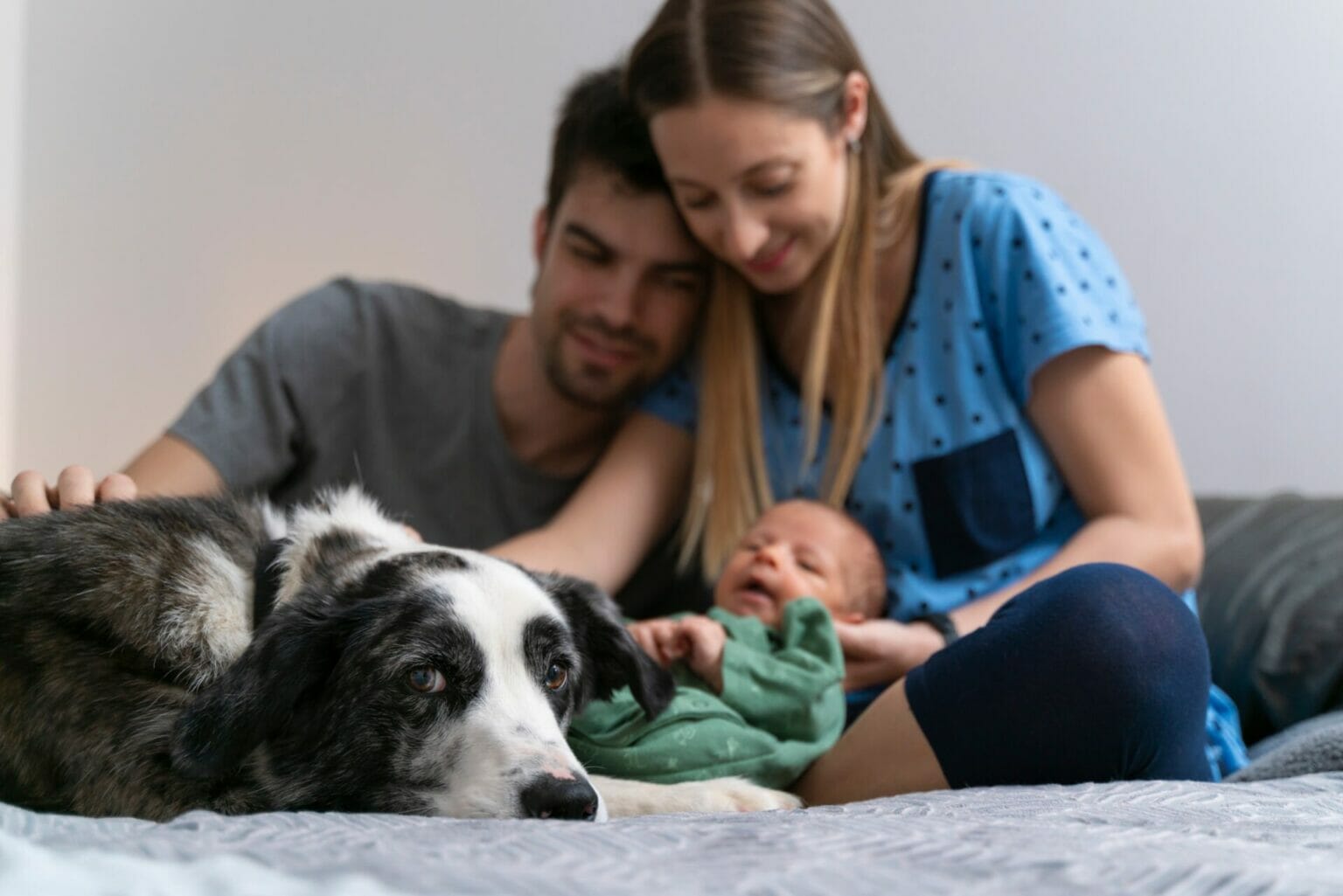 Dog Meets Baby Introducing Your Newborn Photo Inspiration