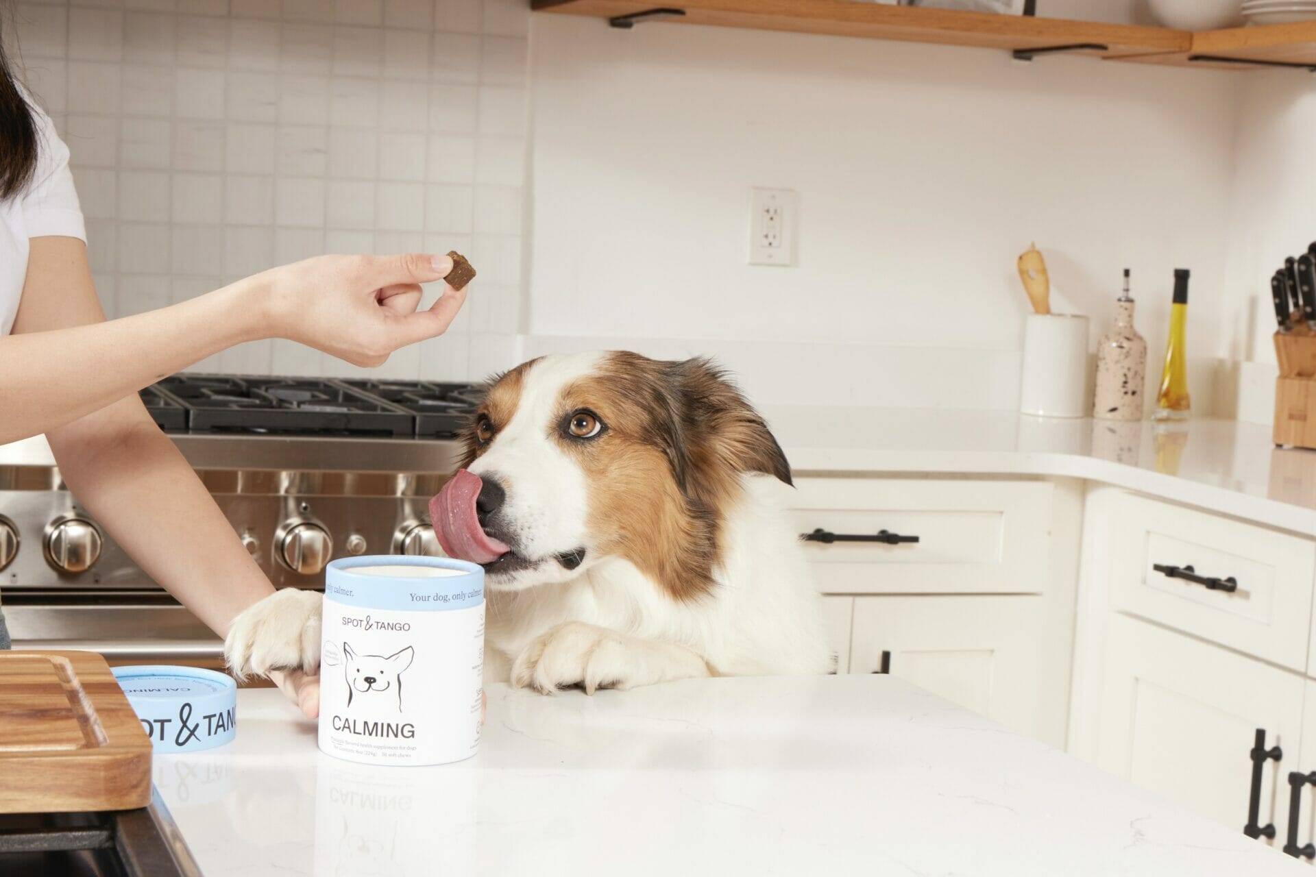 Hip and joint supplements for dogs.