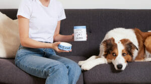 Dog and calming supplements