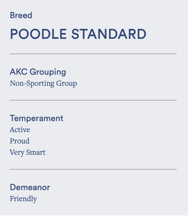 Poodle Standard
