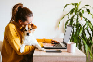 Young,Woman,Working,On,Laptop,At,Home,cute,Small,Dog,Besides.