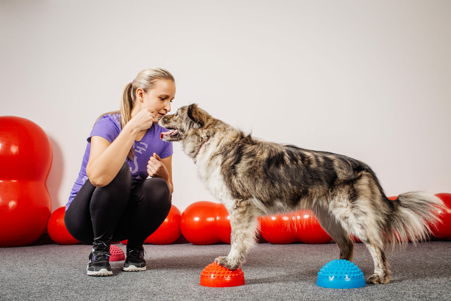 Dog Training Methods