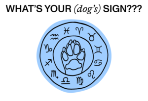 What's your dog's astrology sign?