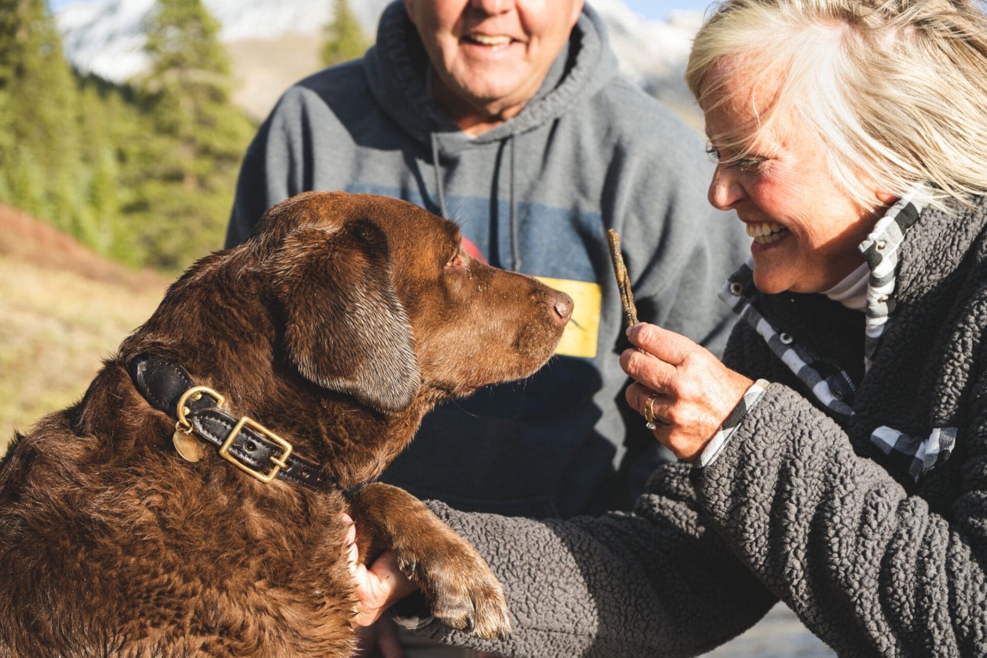 man and woman holding a stick in front of a senior dog