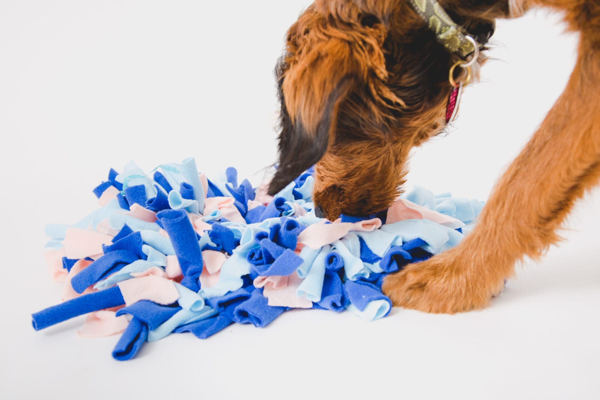 dog getting mental stimulation with snuffle mat