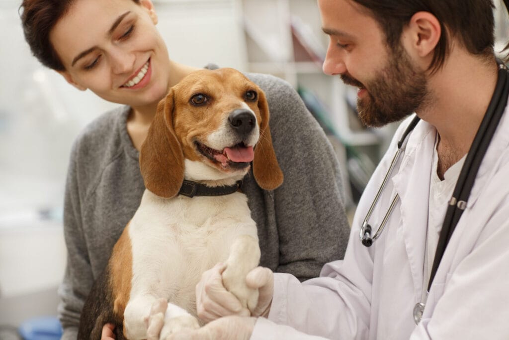 dog smiling while getting vaccination with owner and vet