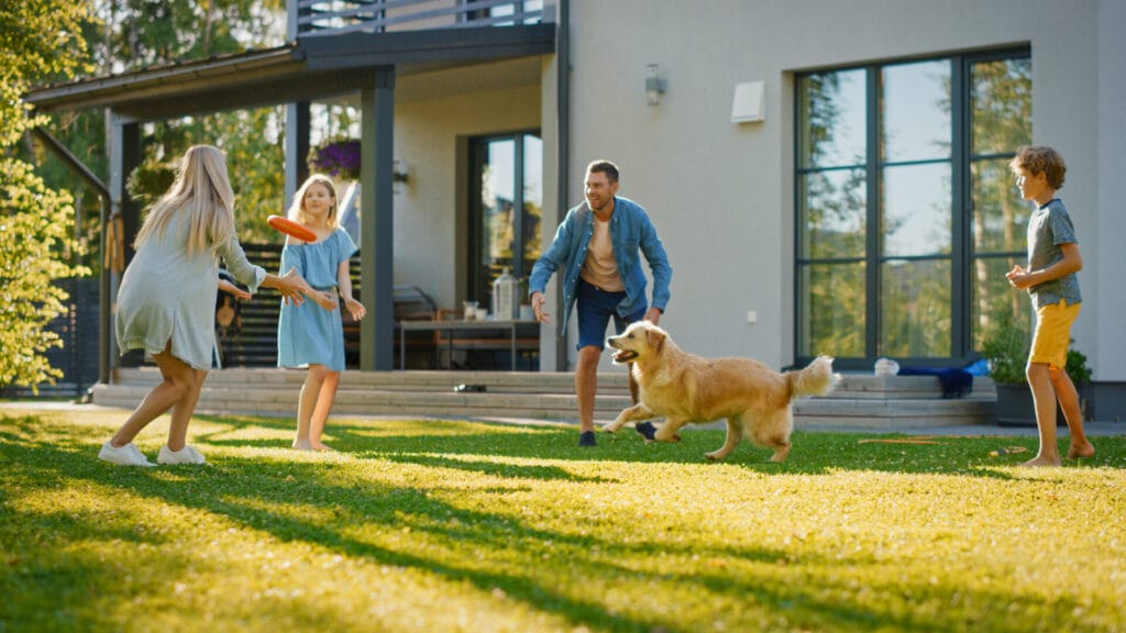 dog playing with a golden retriever, one of the easiest dog breeds to train