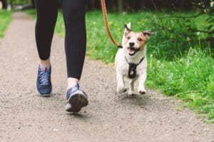 owner walking her dog on a leash