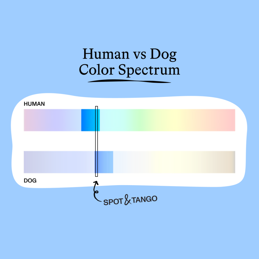 Dog color spectrum