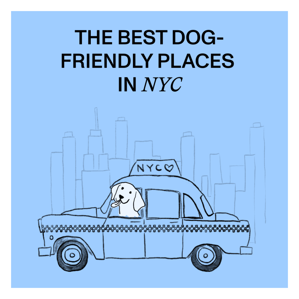 The best dog-friendly places in NYC!