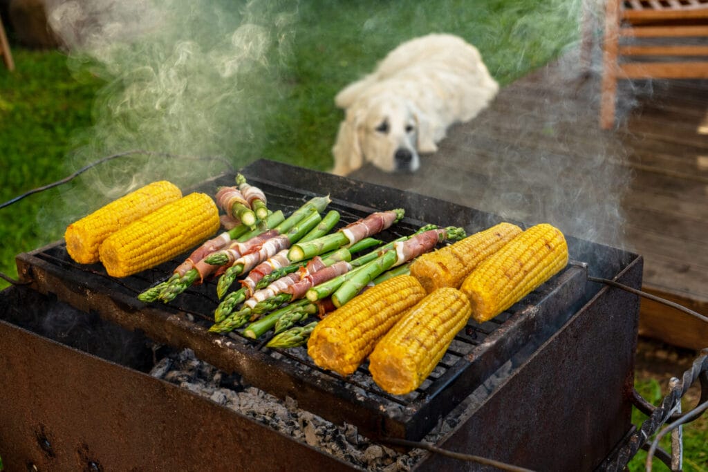 Dog next to a BBQ