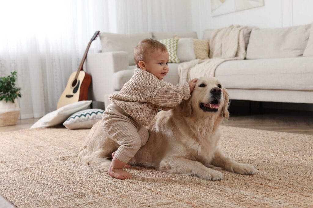 baby playing with dog