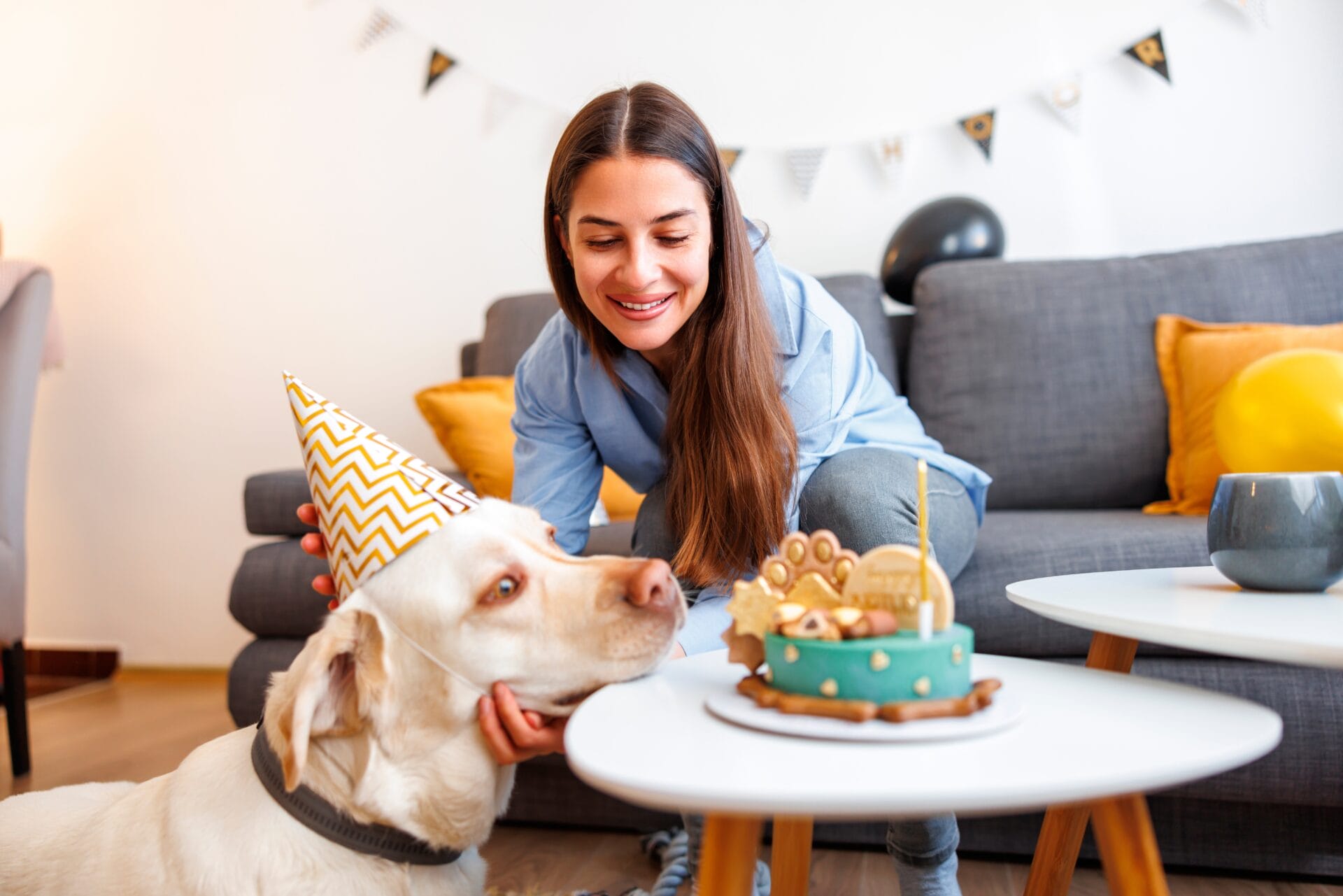 dog eating birthday cake